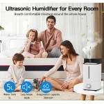 BIRGUSAI Household Air Quality Appliances Humidifier Big Capacity 5L Knob Control Cold Mist Ultrasonic Air Humidifier for Home Room BIRGUSAI Household Air Quality Appliances Humidifier Big Capacity 5L Knob Control Cold Mist Ultrasonic Air Humidifier for Home Room