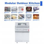 BIRGUSAI Portable Modern Style Stainless Steel Propane Rotisserie BBQ Grill Trolley 4 Burners Infrared Back Burner for Outdoor Party BIRGUSAI Portable Modern Style Stainless Steel Propane Rotisserie BBQ Grill Trolley 4 Burners Infrared Back Burner for Outdoor Party