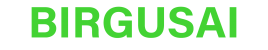 BIRGUSAI Store