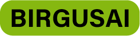 BIRGUSAI Store